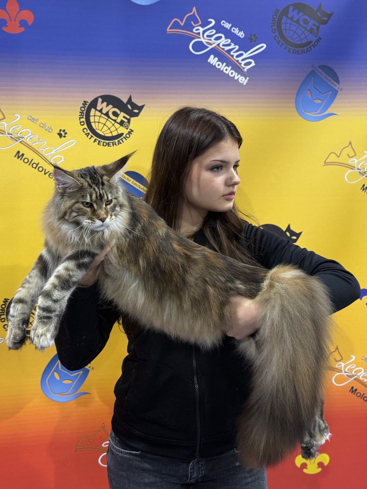 Paloma OdeSea Cat *UA